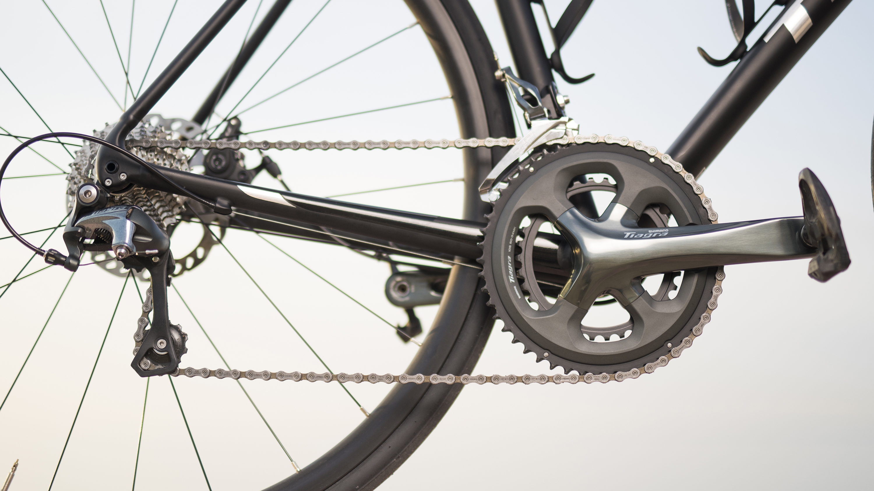 the bicycle chain