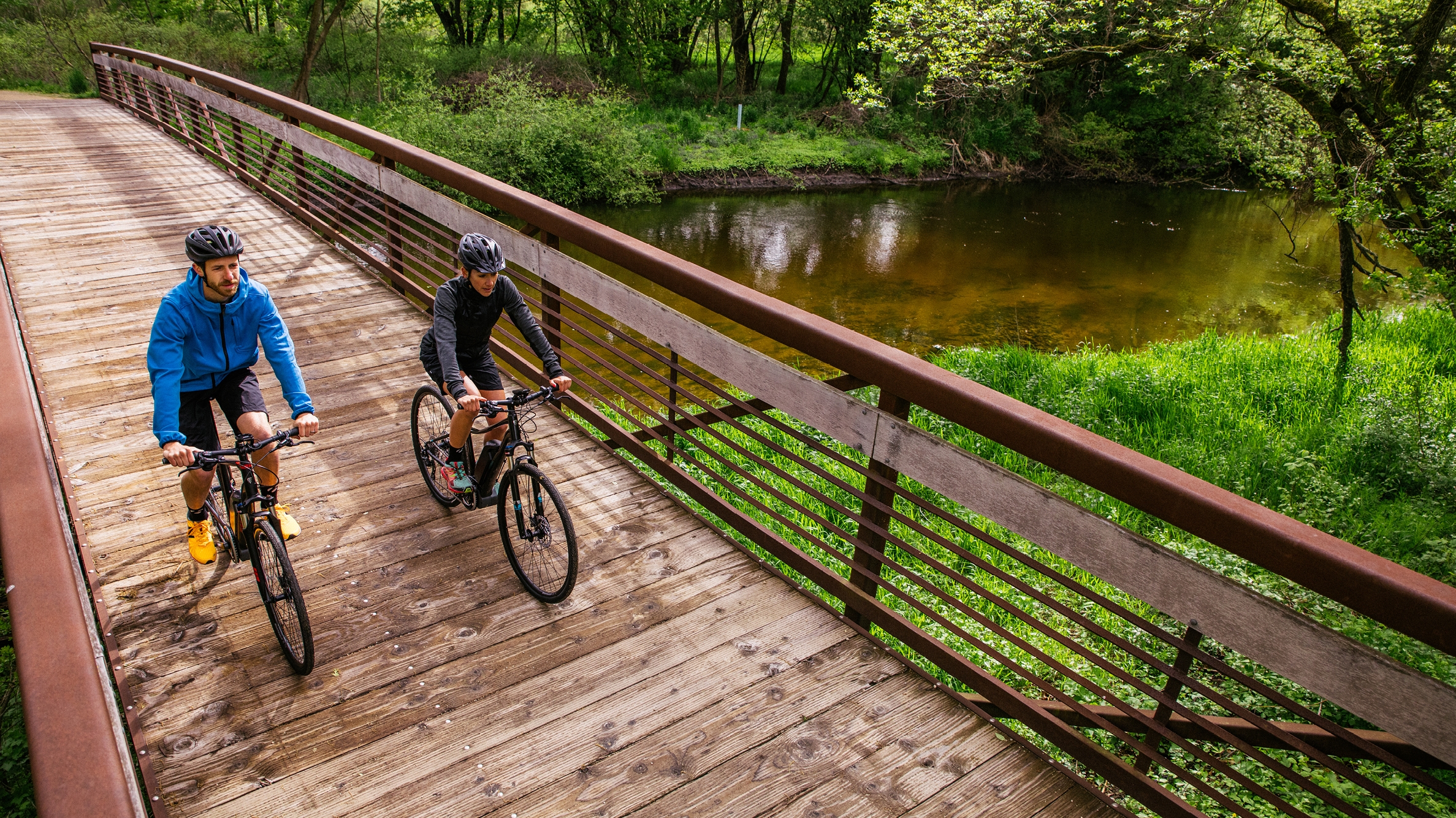 trek dual sport electric