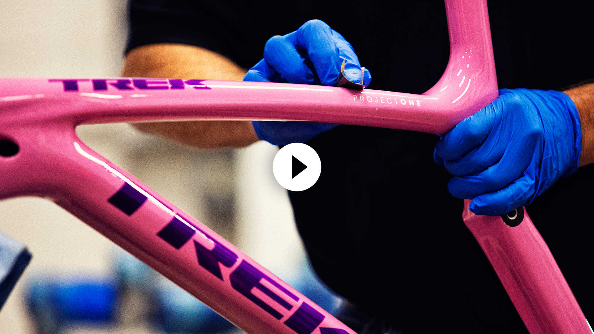Project One: Customize Your Trek