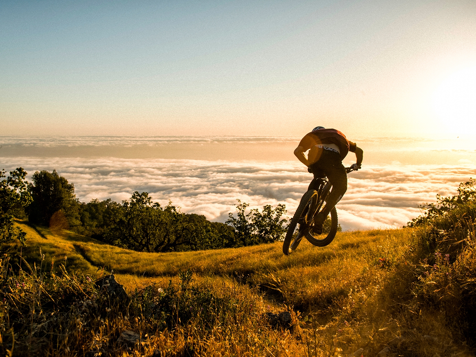 trek mountain bike brands