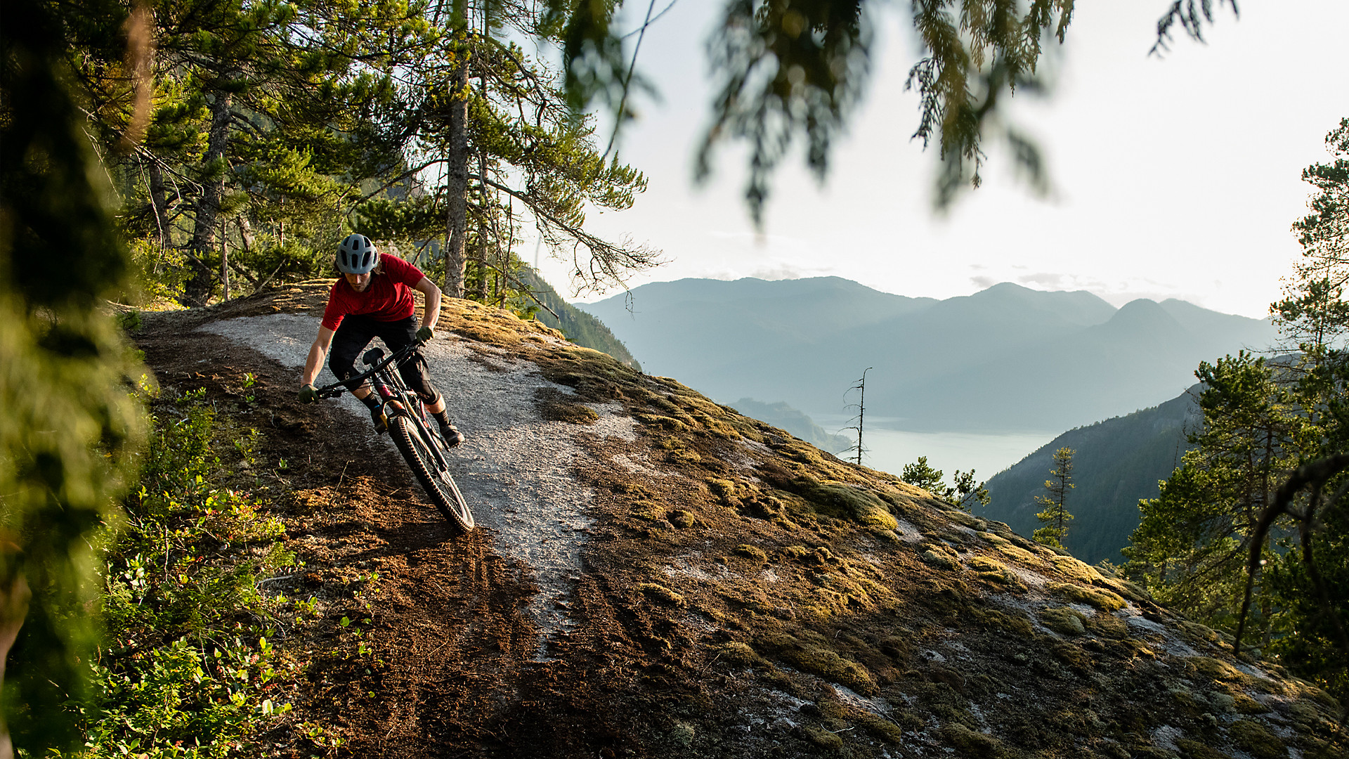 mountain bike singletrails fekete- erdő