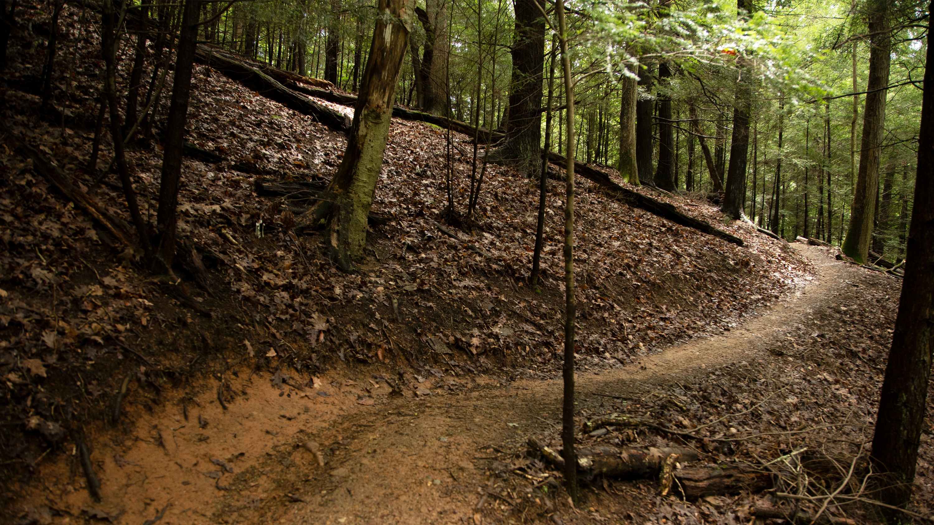 alum creek mountain bike trail phase 2