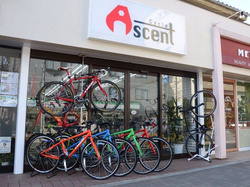 ascent bikes